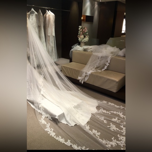 Pronovais Vicenta Wedding Dress Size 4 - Picture 7 of 8